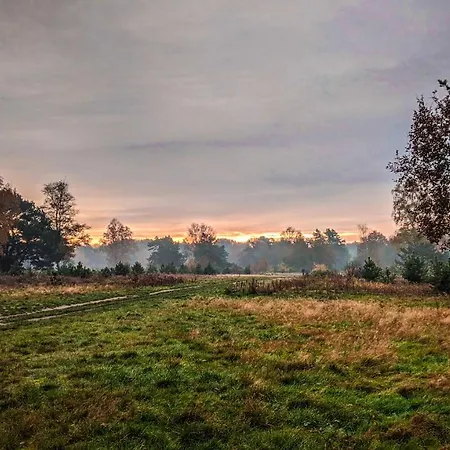 Op De Veluwe # Eiken Putten