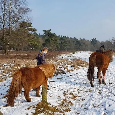 Op De Veluwe # Eiken Putten