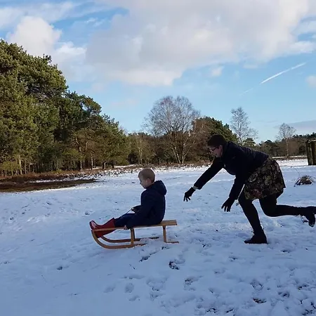 Op De Veluwe # Eiken *