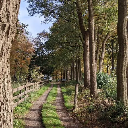 Op De Veluwe # Eiken Putten
