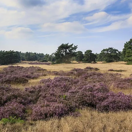 Op De Veluwe # Eiken Putten