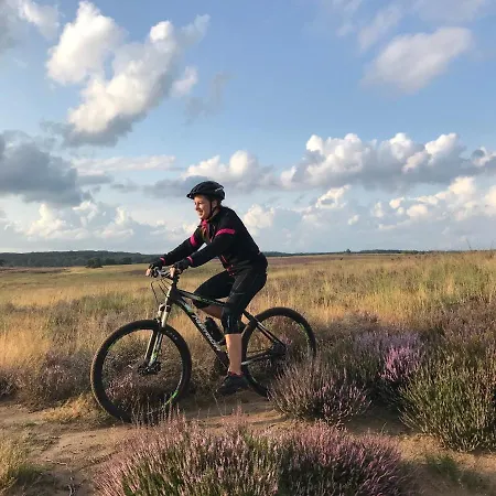 Op De Veluwe # Eiken