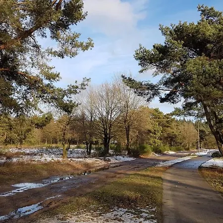 Op De Veluwe # Eiken * Putten