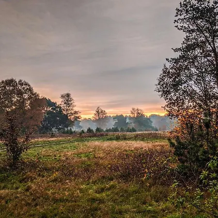 Op De Veluwe # Eiken *