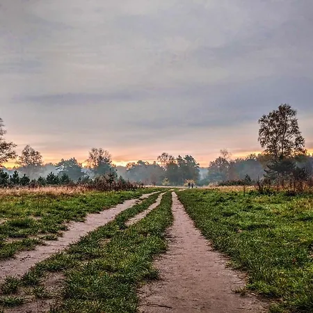Op De Veluwe # Eiken