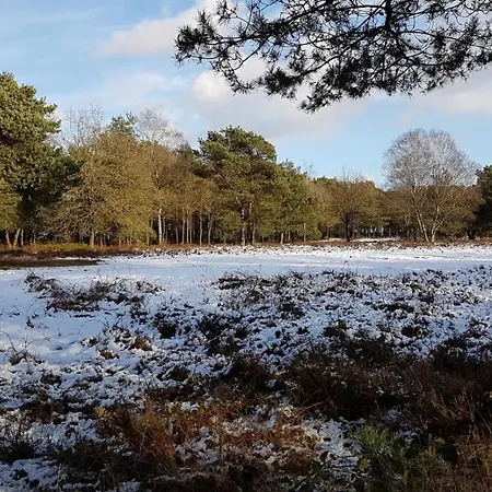 Op De Veluwe # Eiken *