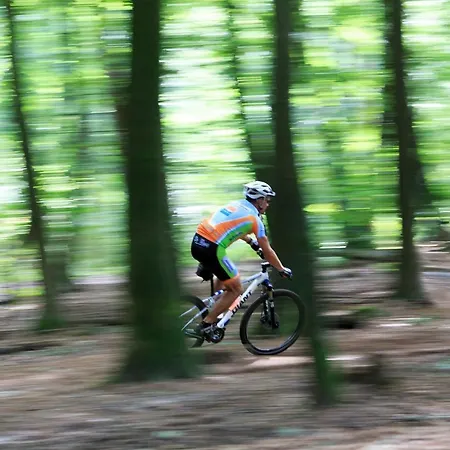 Alpesi faház Op De Veluwe # Eiken *