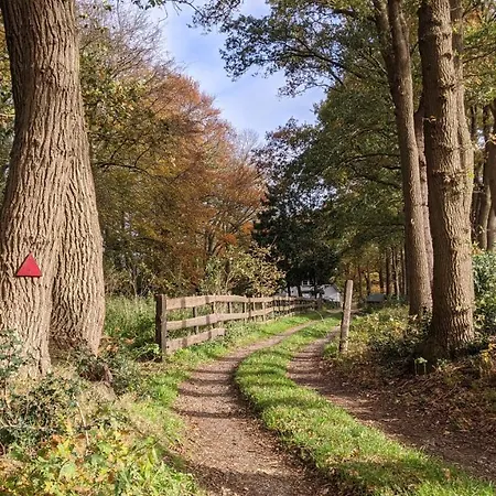 Op De Veluwe # Eiken