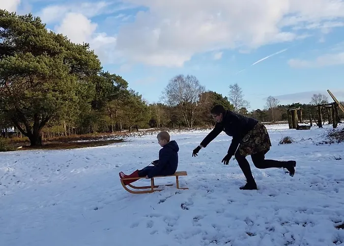 Op De Veluwe # Eiken *