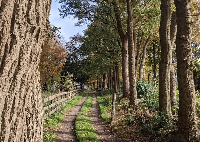 Op De Veluwe # Eiken Putten