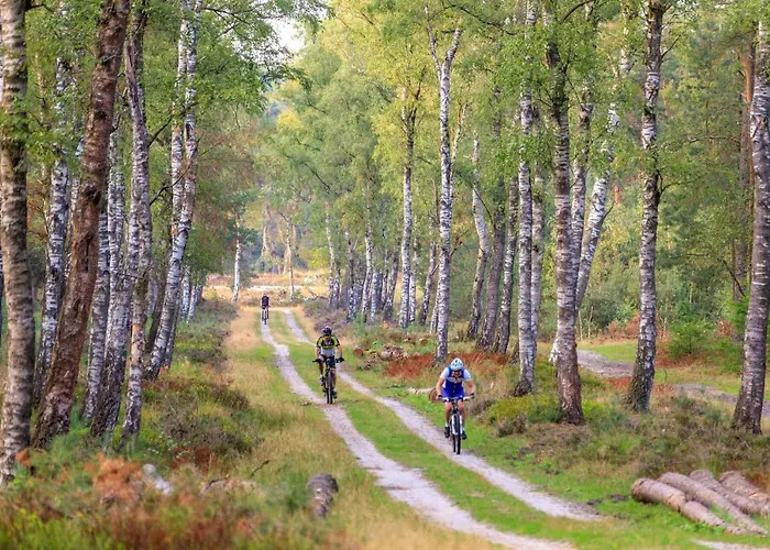 Op De Veluwe # Eiken Alpehytte