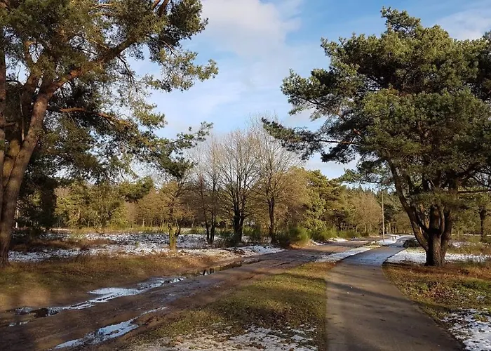 Op De Veluwe # Eiken * Putten