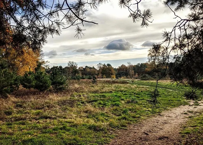 Op De Veluwe # Eiken