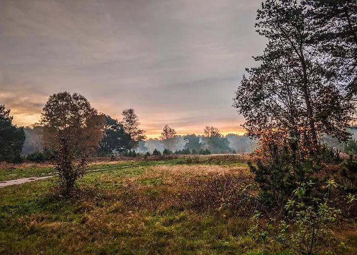 Op De Veluwe # Eiken *