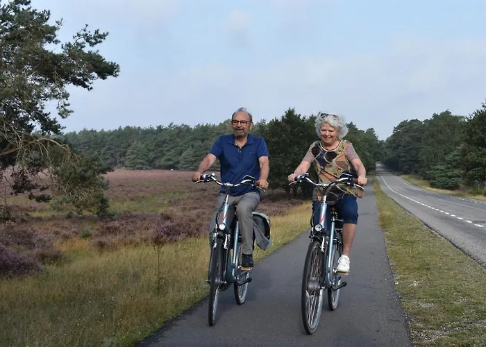 Op De Veluwe # Eiken בקתה