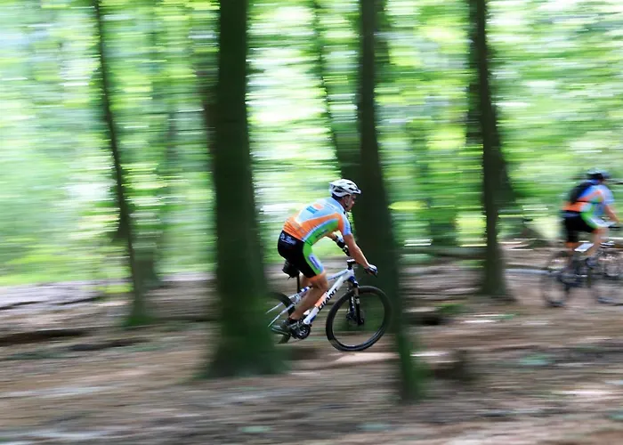 Chalet Op De Veluwe # Eiken *