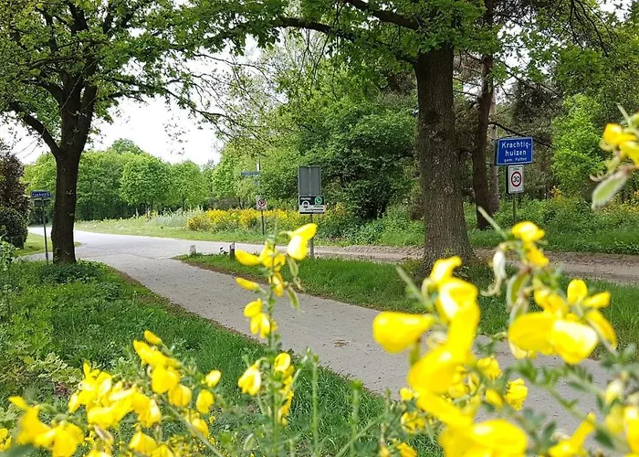 בקתה Op De Veluwe # Eiken *