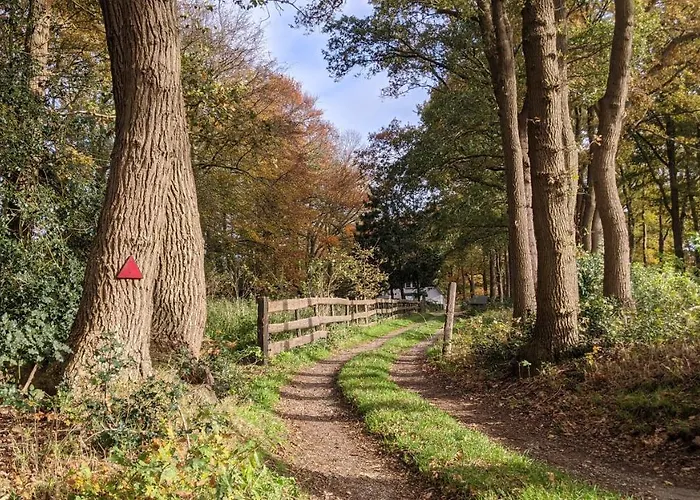 Op De Veluwe # Eiken