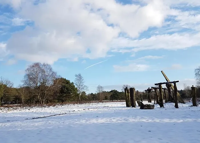 Op De Veluwe # Eiken * Putten