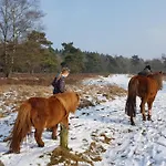 Op De Veluwe # Eiken פוטן