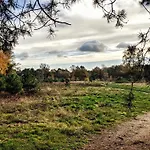 Op De Veluwe # Eiken
