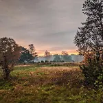 Op De Veluwe # Eiken *
