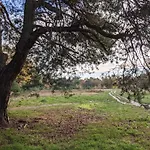 Op De Veluwe # Eiken בקתה פוטן