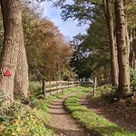 Op De Veluwe # Eiken