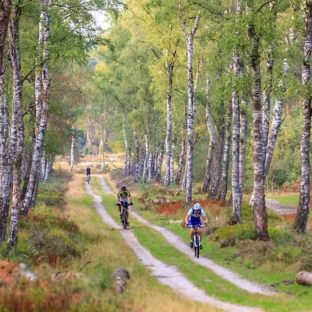 Op De Veluwe # Eiken Alpstuga