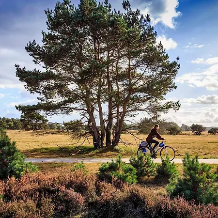 Op De Veluwe # Eiken *