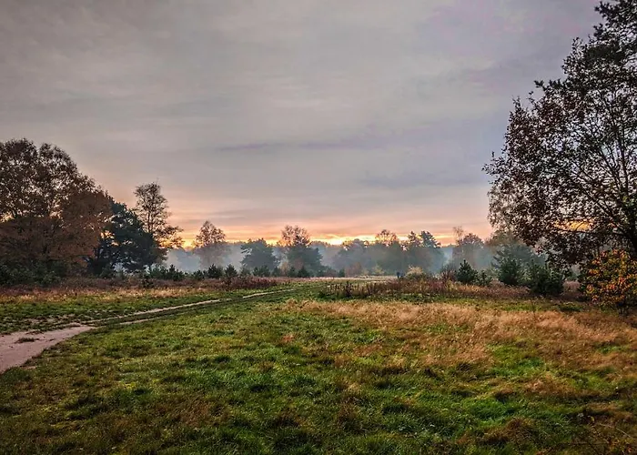 Op De Veluwe # Eiken Putten