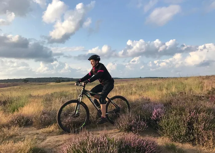 Op De Veluwe # Eiken