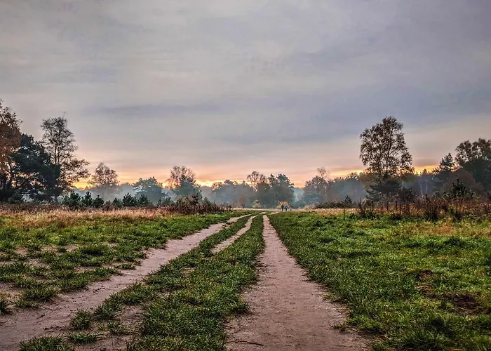 Op De Veluwe # Eiken
