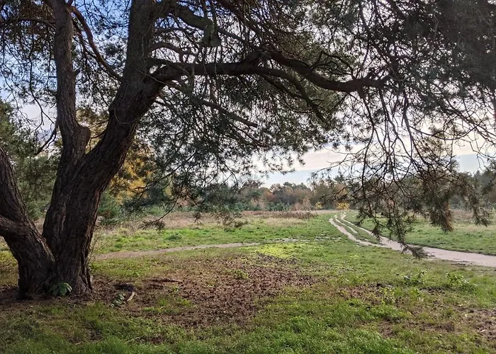 Op De Veluwe # Eiken 샬레 푸텐