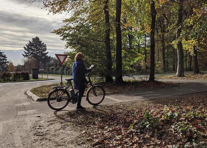 Op De Veluwe # Eiken 샬레 *